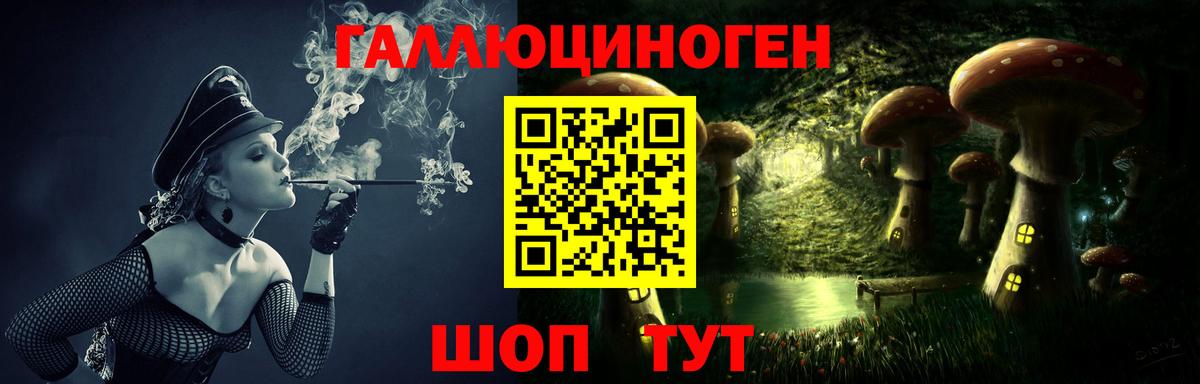 Галлюциногенные грибы MAGIC MUSHROOMS  Вход с VPN  Казань 